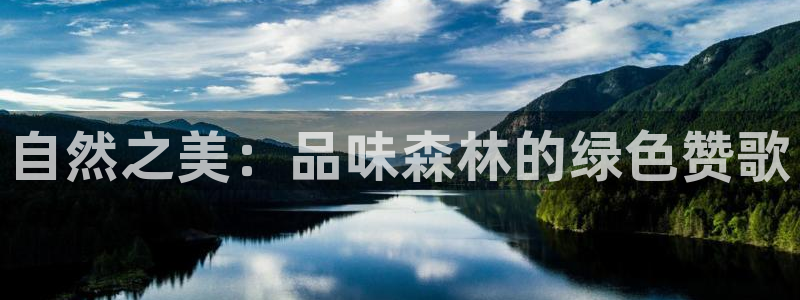 新宝gg 198:自然之美:品味森林的绿色赞歌