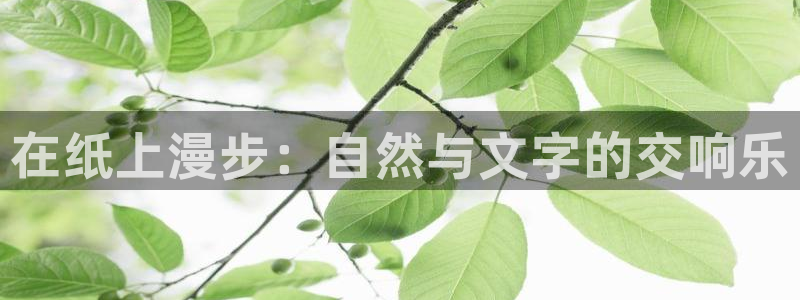 新宝gg 金苹果:在纸上漫步:自然与文字的交响乐