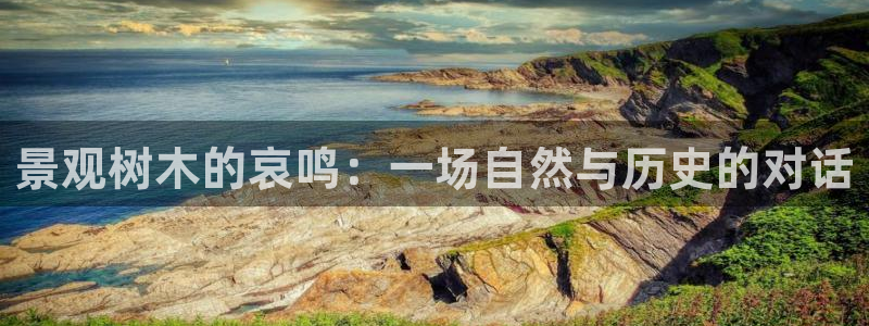 新宝GG正规78778:景观树木的哀鸣:一场自然与历史的对话