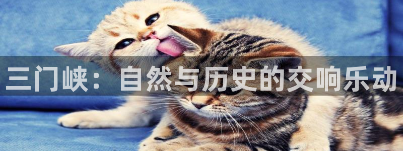 新宝gg注册q 26880:三门峡:自然与历史的交响乐动