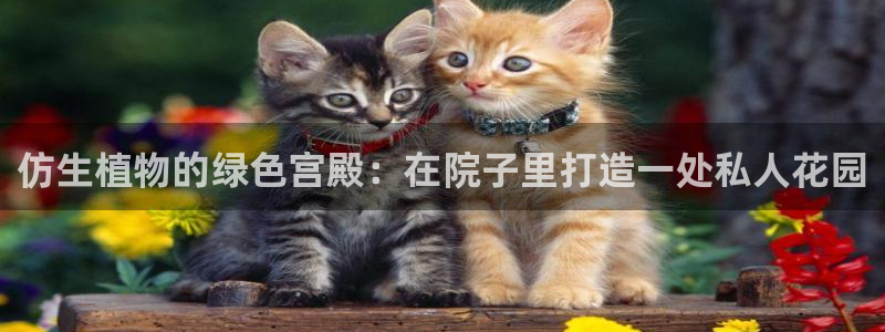 新宝gg搜740005:仿生植物的绿色宫殿:在院子里打造一处私人花园